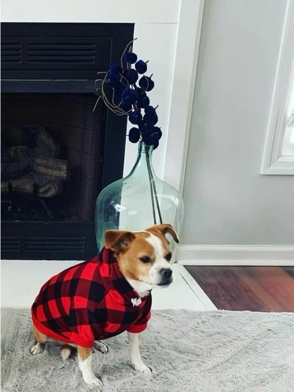 Dog Plaid Hoodie - Red & Black Buffalo Check